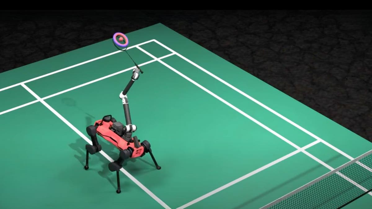 The quadruped robot touches badminton with you with ai